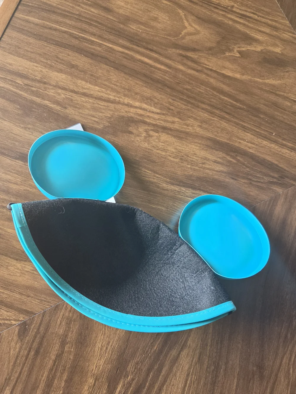 Disney D23 Day Disneyland 2024 Mickey Mouse Ear Hat Limited Edition, New